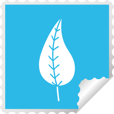 Bir insan tarafından çizilmiş yeşil bir yaprağın kare kabuğu çıkartması.