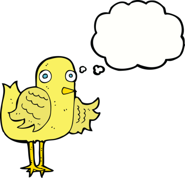 Bir insan tarafından çizilmiş düşünce baloncuğuyla kanat sallayan çizgi film kuşu.