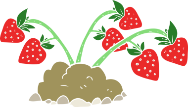 Bir insan tarafından çizilmiş çileklerin düz renk çizimi