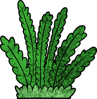 Bir insan tarafından çizilen bitki yetiştirme çizgi filmi