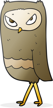 Bir insan tarafından çizilmiş baykuş çizimi.