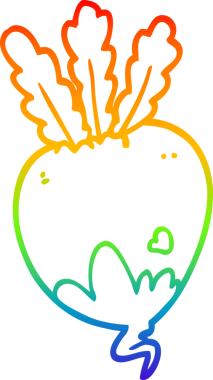 Bir insan tarafından çizilmiş pancar kökünün çizgi çizimi.