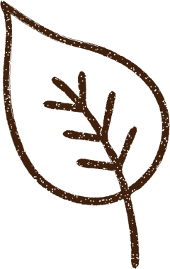 Bir insan tarafından çizilmiş eski Yaprak Kömürü