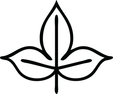 Bir insan tarafından çizilmiş bir sonbahar yaprağının çizgi çizimi