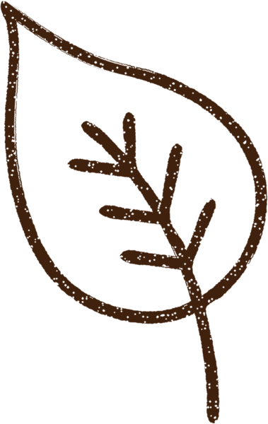 Bir insan tarafından çizilmiş eski Yaprak Kömürü