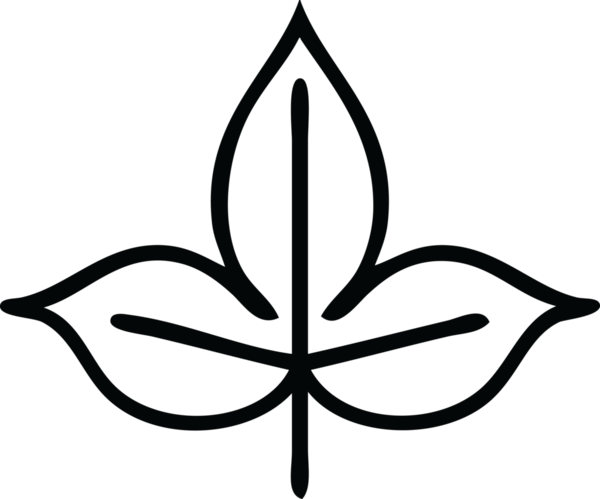 Bir insan tarafından çizilmiş bir sonbahar yaprağının çizgi çizimi