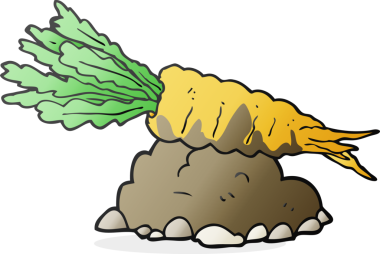 Bir insan tarafından çizilmiş karikatür havucu.