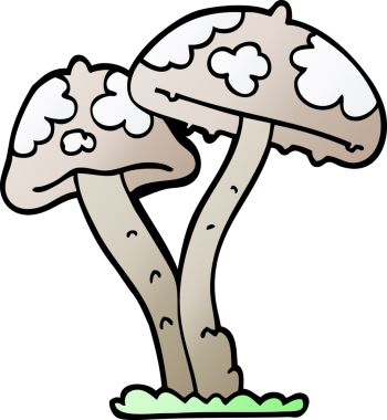 Bir insan tarafından çizilmiş karalama mantarı.