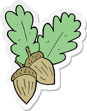 Bir insan tarafından çizilmiş meşe palamudu çıkartması.