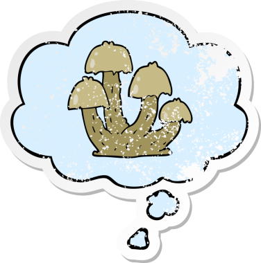 Düşünce baloncuklu mantarlar insan tarafından çizilmiş yıpranmış bir çıkartma.