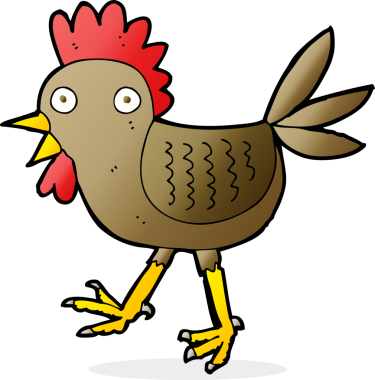 Bir insan tarafından çizilmiş komik çizgi film tavuğu.