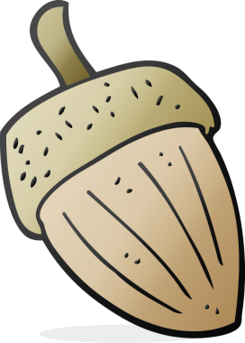 Bir insan tarafından çizilmiş meşe palamudu.