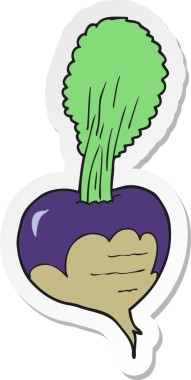 Bir insan tarafından çizilmiş pancar pancarının çıkartması.