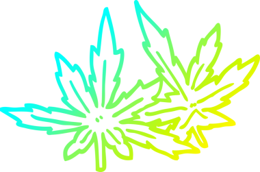 Bir insan tarafından çizilen marihuana yapraklarının soğuk gradyan çizgileri.