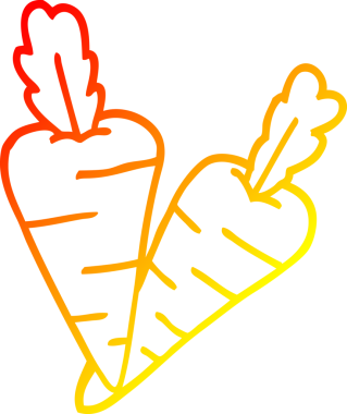 Bir insan tarafından çizilmiş organik havuç çizgi çizimi.