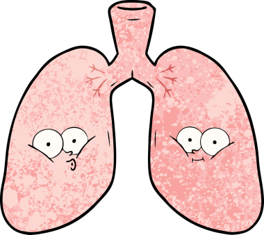 Bir insan tarafından çizilmiş karikatür ciğerleri.