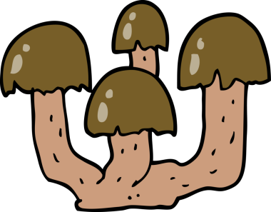 Bir insan tarafından çizilmiş mantarlar.