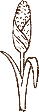 Bir insan tarafından çizilmiş mısır sapı karakalem çizimi