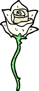 Bir insan tarafından çizilmiş beyaz gül.