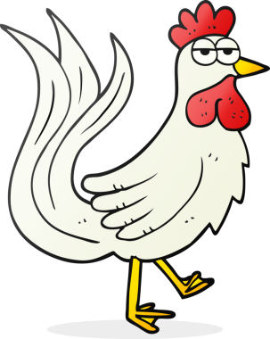 Bir insan tarafından çizilmiş serbest çizim çizgi film horozu.