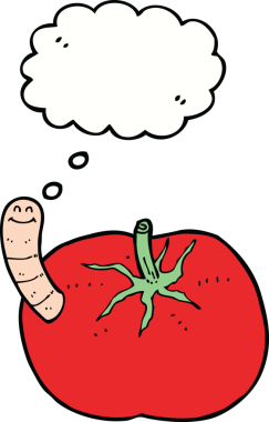 insan tarafından çizilmiş düşünce baloncuklu solucanlı domates.