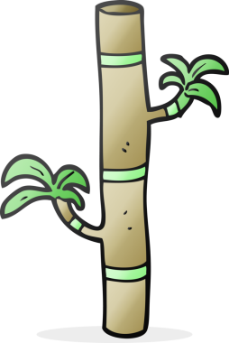 Bir insan tarafından çizilmiş serbest çizim bambu.