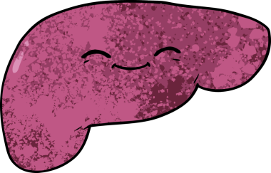 Bir insan tarafından çizilmiş karaciğer.