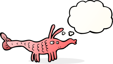 Bir insan tarafından çizilmiş düşünce baloncuklu karides.