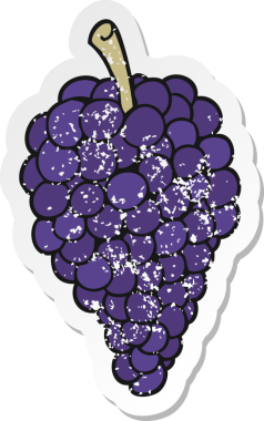 Bir insan tarafından çizilmiş üzümlerin gerilmiş yapıştırması.