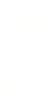 Bir insan tarafından çizilen Şenlikli Tilki Tebeşiri