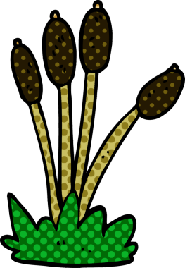 Bir insan tarafından çizilmiş sazlıkların karalama yatağı.