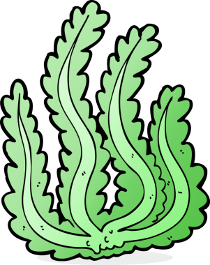 Bir insan tarafından çizilmiş karton deniz yosunu.