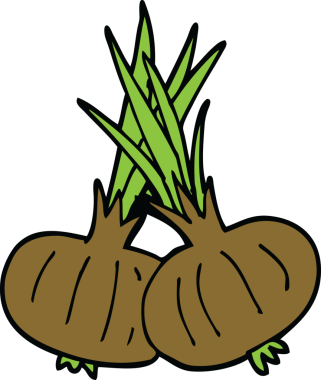 Bir insan tarafından çizilmiş karalama kahverengi soğanlar.