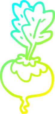 Bir insan tarafından çizilmiş pancar pancarının soğuk çizgi çizimi.