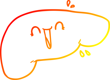 Bir insan tarafından çizilmiş karaciğerin sıcak gradyan çizimi