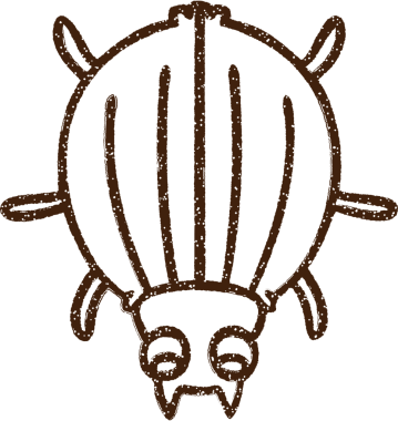 Bir insan tarafından çizilen Böcek Kömürü