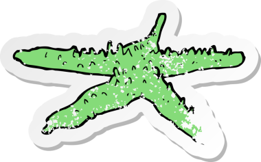 Bir insan tarafından çizilmiş karikatür deniz yıldızının gerilemiş etiketi.