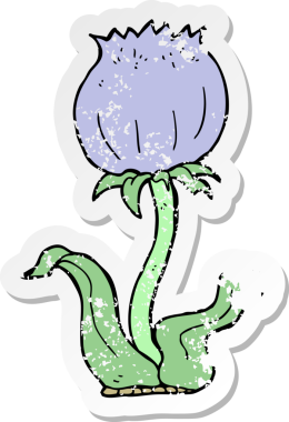 Bir insan tarafından çizilmiş vahşi bir çiçeğin hüzünlü çıkartması.