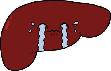 Bir insan tarafından çizilmiş karaciğer.