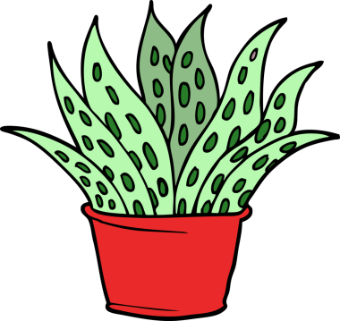 Bir insan tarafından çizilmiş karalama evi bitkisi.