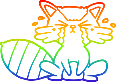 Bir insan tarafından çizilmiş ağlayan bir rakunun çizimi.