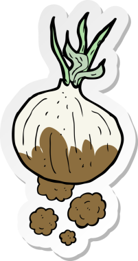 Bir insan tarafından çizilmiş organik soğan karikatürü çıkartması.