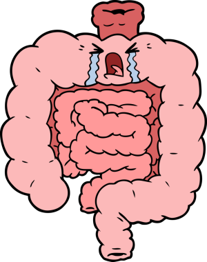 Bir insan tarafından çizilmiş bağırsaklar.