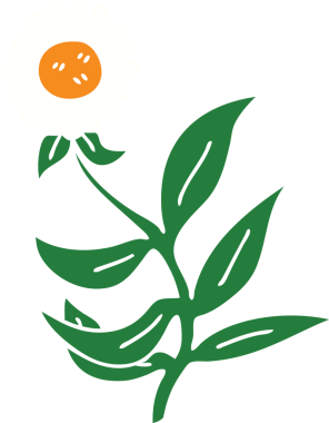 Bir insan tarafından çizilmiş garip karikatür papatya çiçeği.