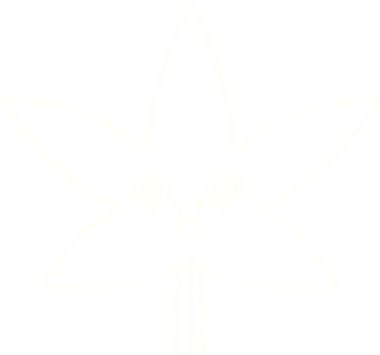 Bir insan tarafından çizilen Yaprak Tebeşiri