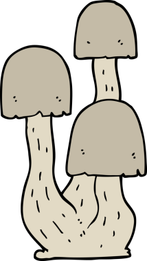 bir insan tarafından çizilmiş mantar mantarı