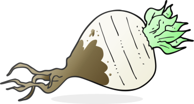 Bir insan tarafından çizilmiş şalgam karikatürü.