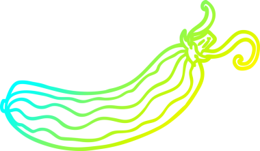 Bir insan tarafından çizilmiş bir salatalığın soğuk gradyan çizimi