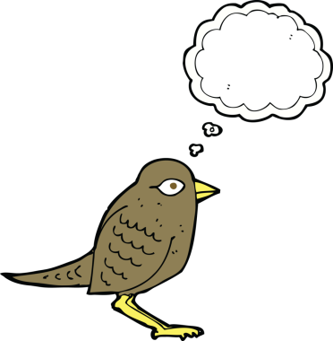 Bir insan tarafından çizilmiş düşünce baloncuklu bahçe kuşu.