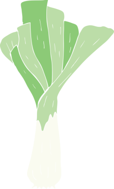 Bir insan tarafından çizilen pırasanın düz renk çizimi